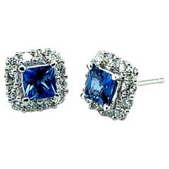 Cornflower Blue Sapphire and Diamond Pave Stud Earrings in White Gold