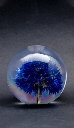 Cornflower Paperweight