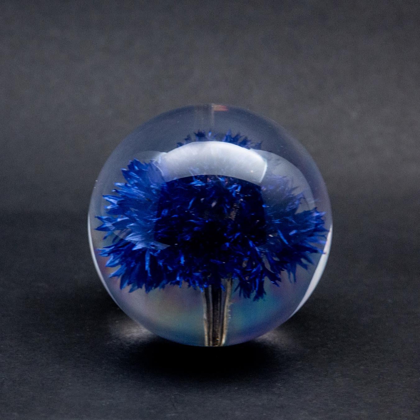 Cornflower Paperweight In New Condition In New York, NY