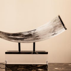 Corno Cannes Table Lamp, Florence Italy Italian Manufacturing