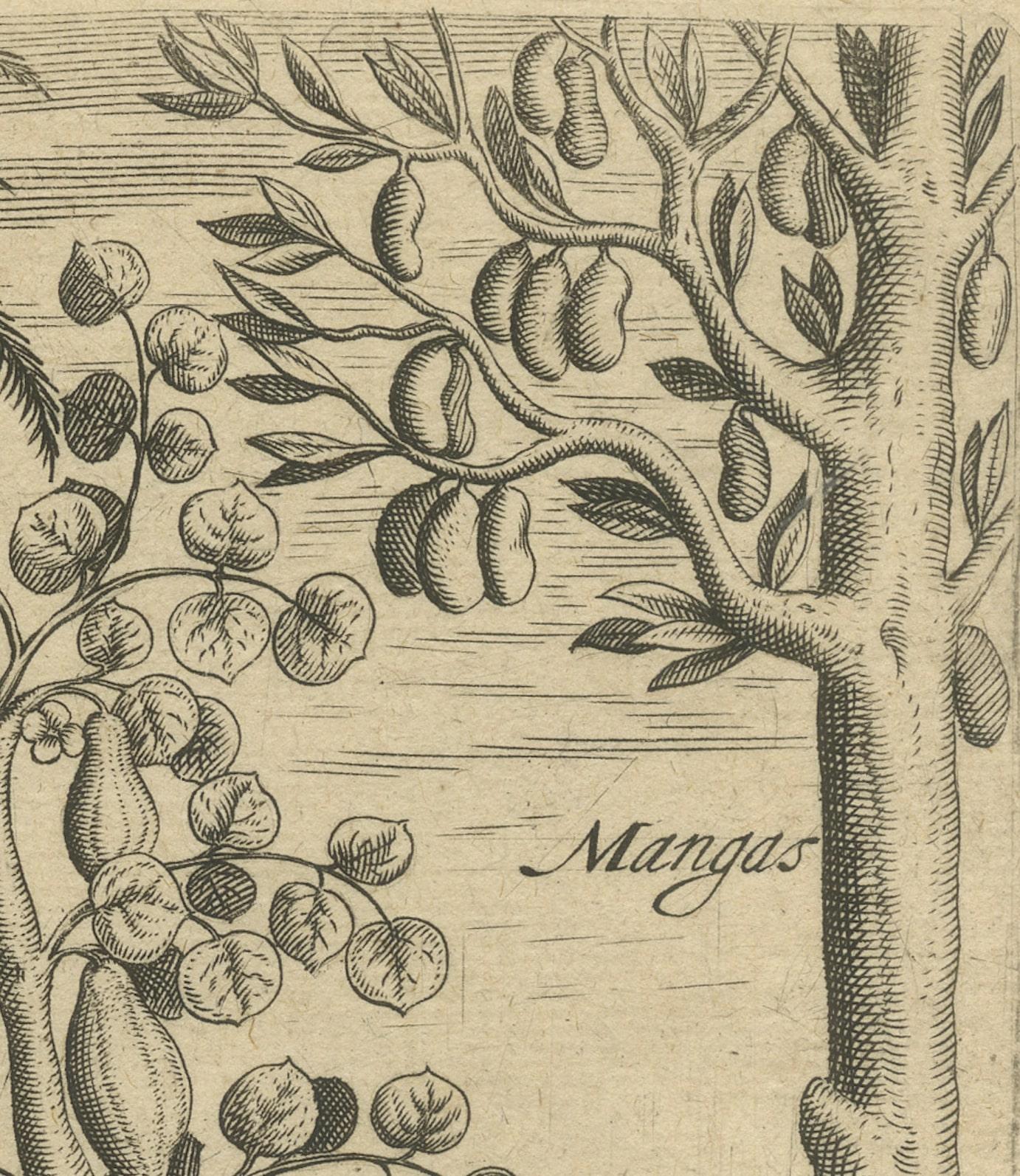 Paper Cornucopia of India: Pineapples, Betel, Date Palms, Soursop, and Mangoes, 1601 For Sale