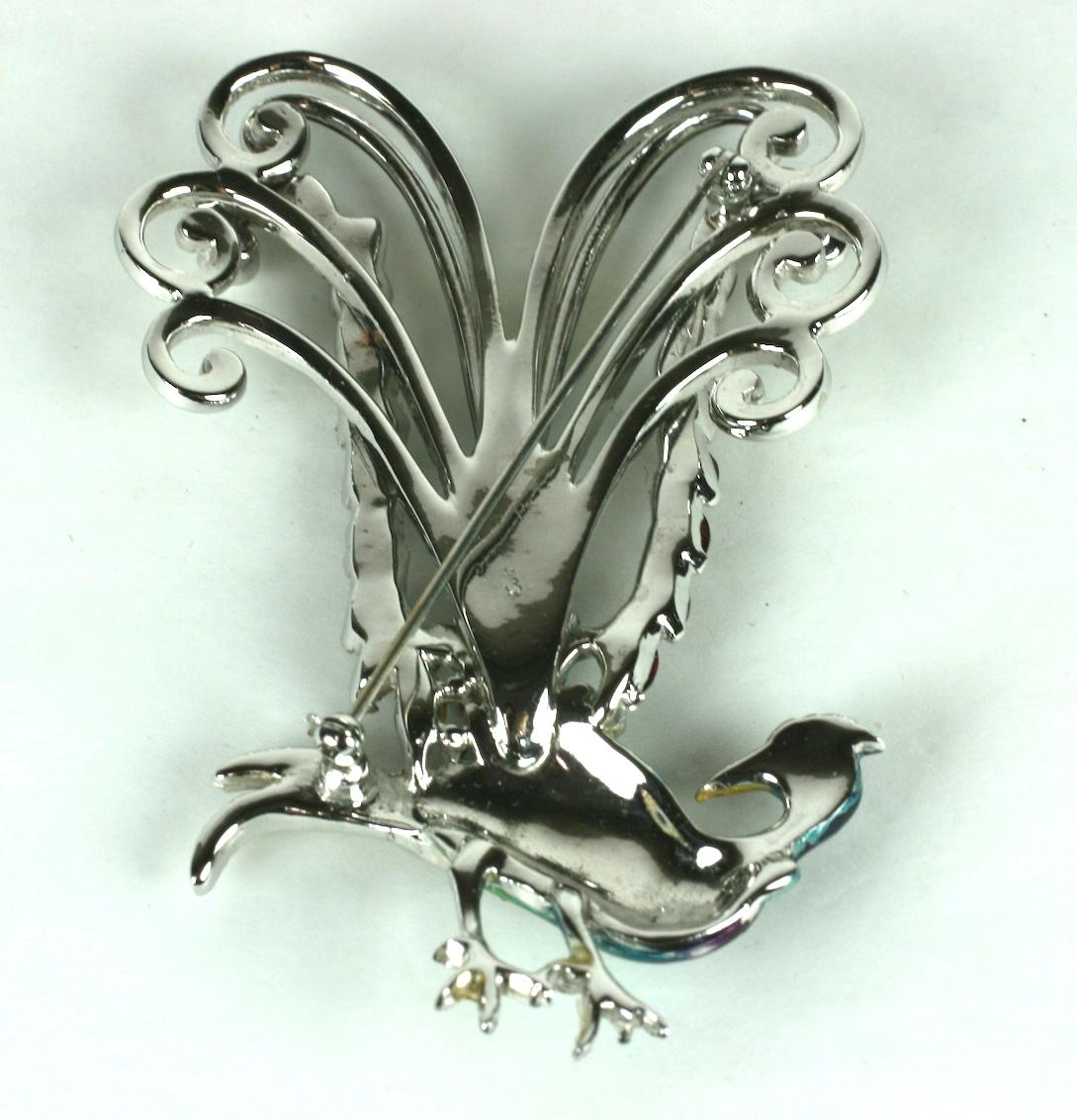 lyrebird for sale