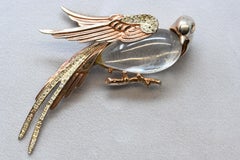 Corocraft Jelly Belly Lucite & Sterling Bird of Paradise Brooch