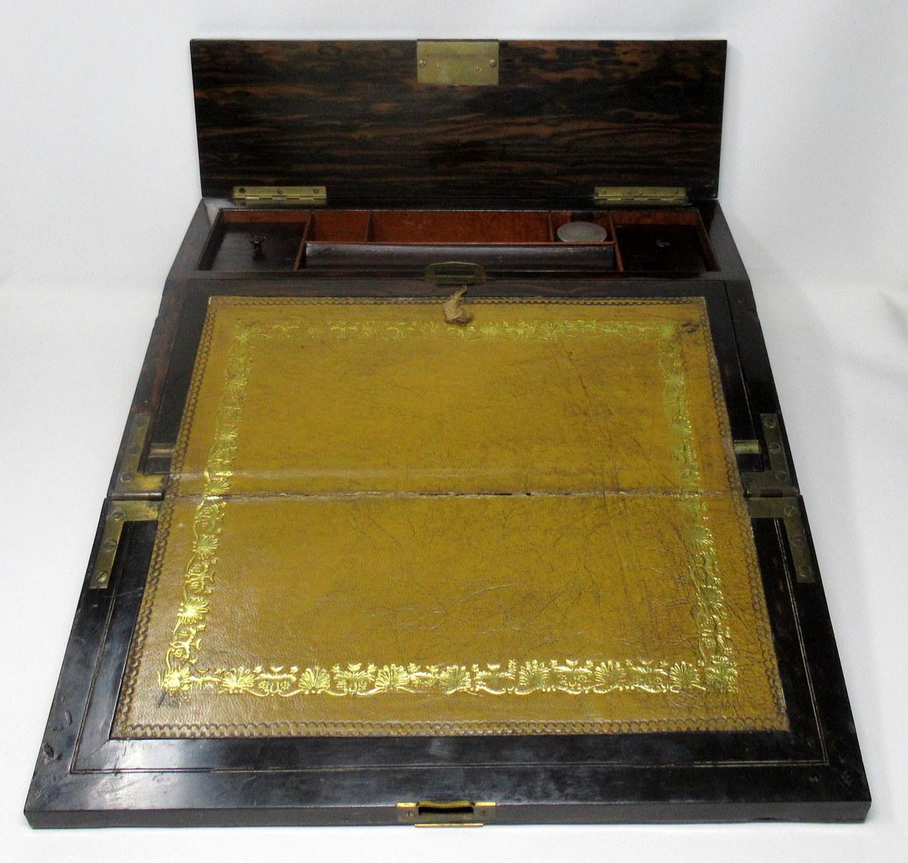 Coromandel Writing Slope Box Casket Poss Irish Austins Dublin Mid-19th Century 1
