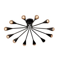 Corona Flush Mount Light Fixture in Black Enameled Brass by Blueprint Lighting