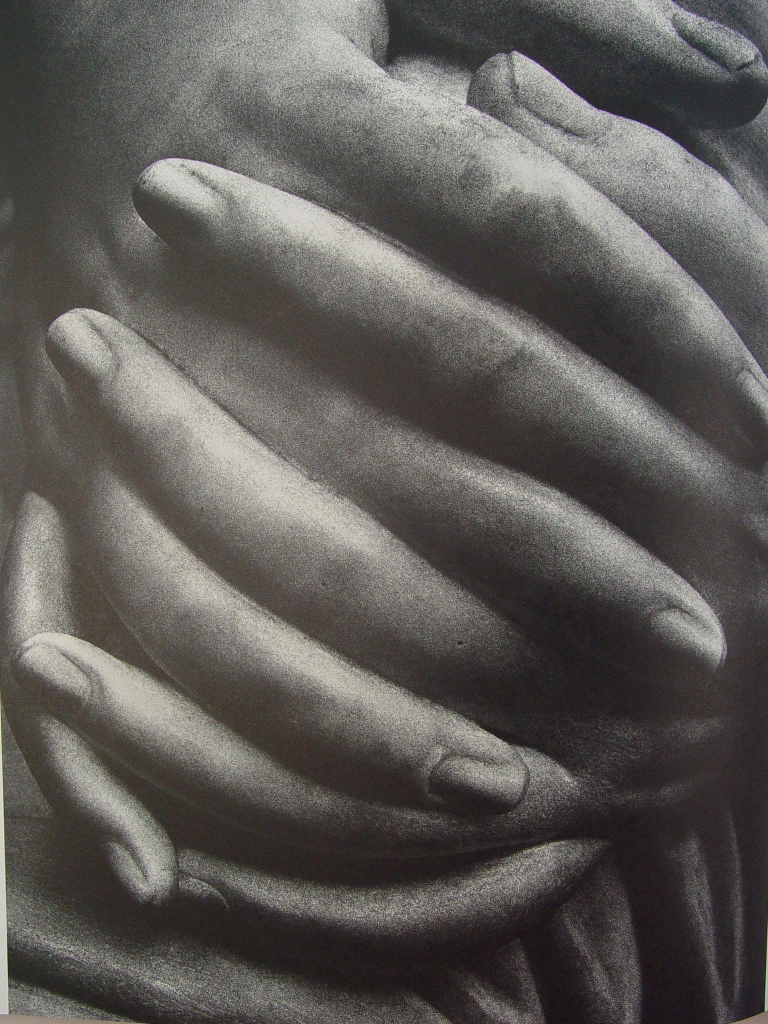 Contemporary Corpus by Alejandra Figueroa Sculpture Photograpy Book For Sale