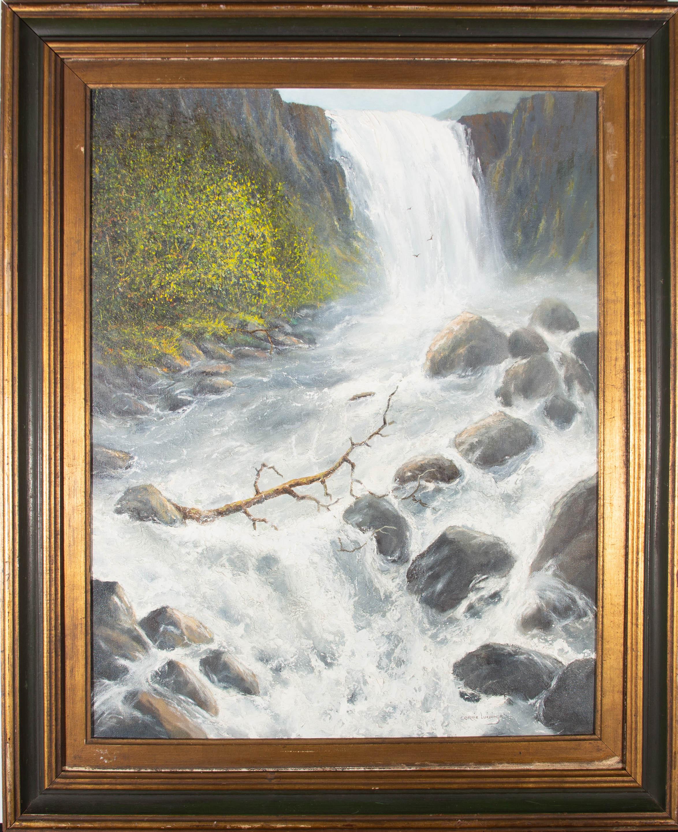 Una scena fluviale dinamica e drammatica che mostra rapide bianche, spumeggianti e che si infrangono sulle rocce di una cascata. L'artista ha apposto la sua firma nell'angolo in basso a destra e il dipinto è stato presentato in una sostanziosa