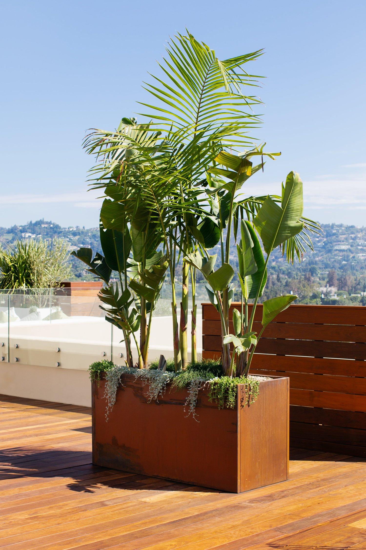 Elevate your outdoor or interior spaces with our custom corten steel edible garden boxes or planters, ideal for residential and commercial settings alike. Crafted with precision and durability, these Corten steel creations offer a timeless appeal