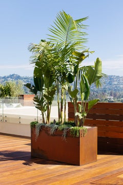Corten Stahl Pflanzgefäß oder Gartenkasten (5' X 2' X 2,5')