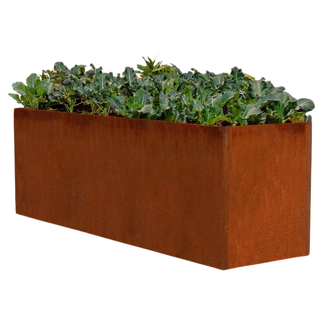 Boîte de jardin ou jardinière en acier Corten ou Edible (5' X 2' X 2,5') en vente