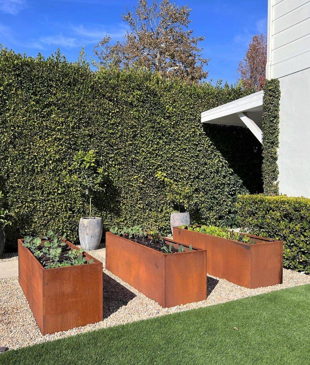 Organique Jardinière ou boîte de jardin Edible Corten en acier (6,5' X 2' X 2,5') en vente