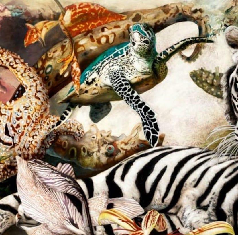 Animals, Leopard, Panther, Fishes, Foxes, Monkeys, Turtles, Octopuses, Flowers, Underwater Plants, ....

“Everything that surrounds me affects me. Memories, politics, nature, people, a dry leaf on the ground, music and books.”

Corvengi’s works