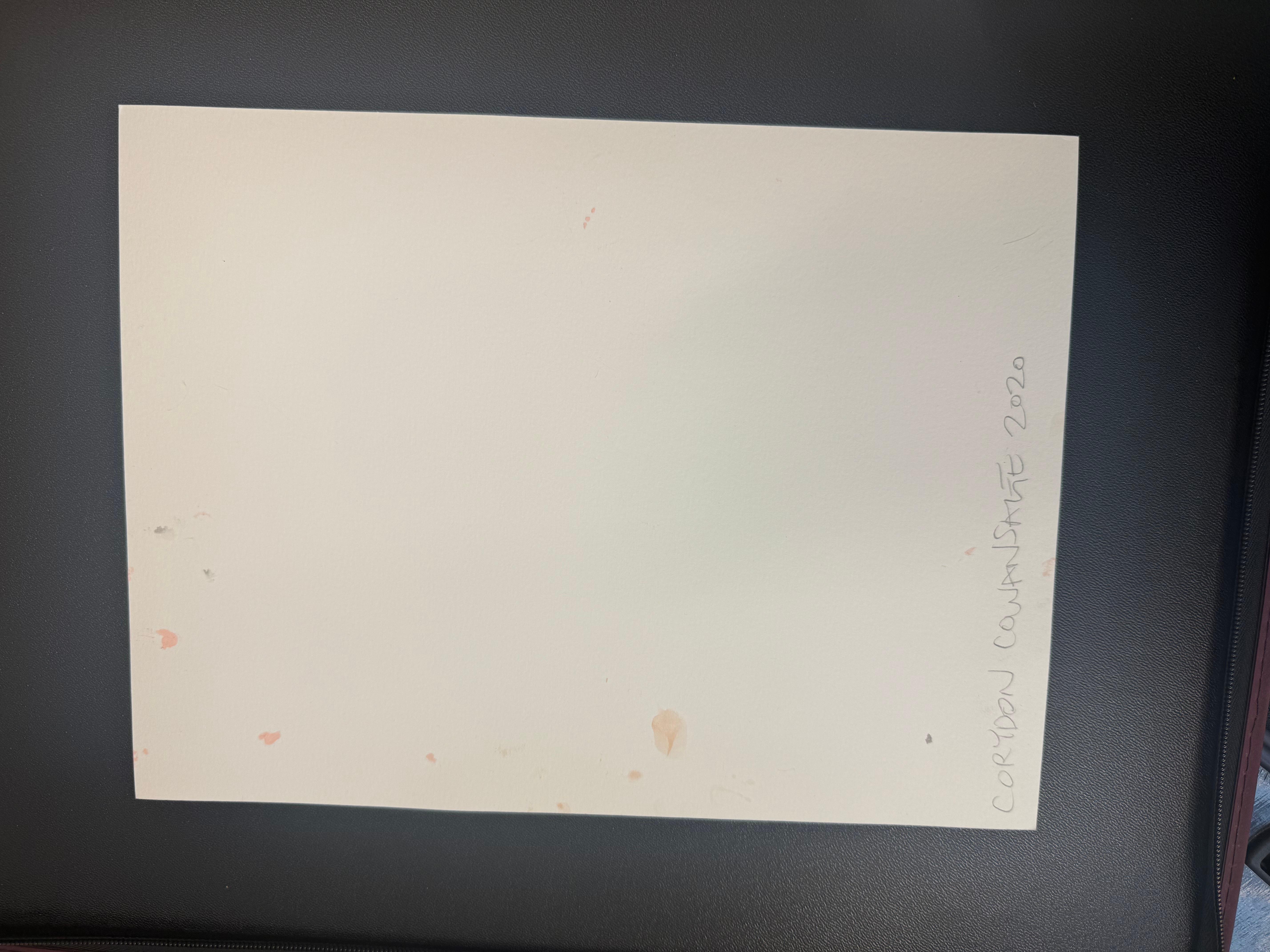 Untitled By Corydon Cowansage For Sale 9