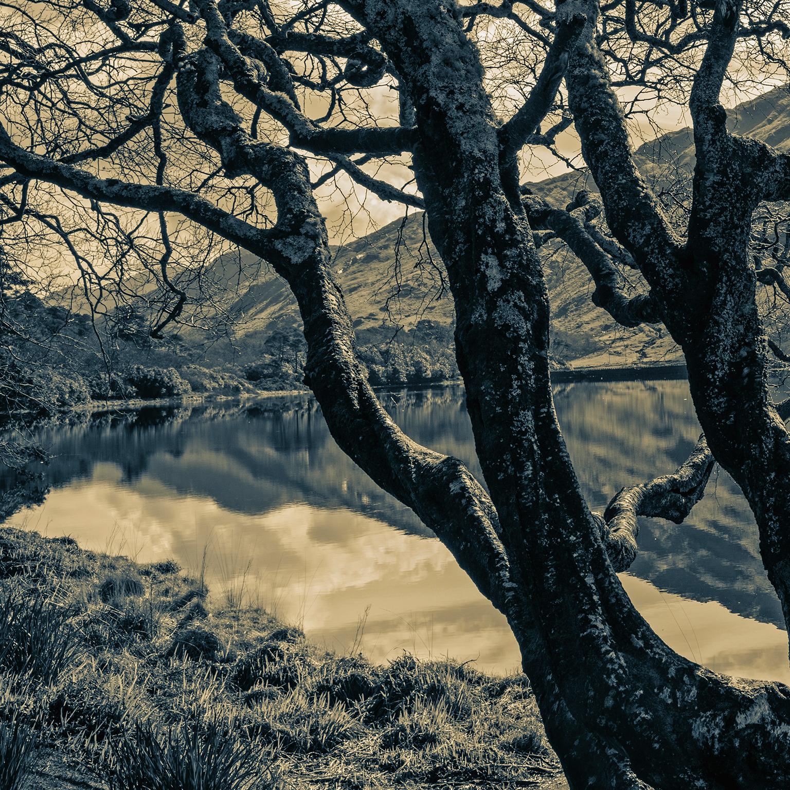 
 Paysage de montagnes et de lac. Château de Kylemore, comté de Galway, Connemara, Irlande, 2018.

 Photographie de Cosmo Condina d'un paysage tonique en noir et blanc. Irlande, Connemara, Comté de Galway.
 
Il s'agit d'un paysage spectaculaire de