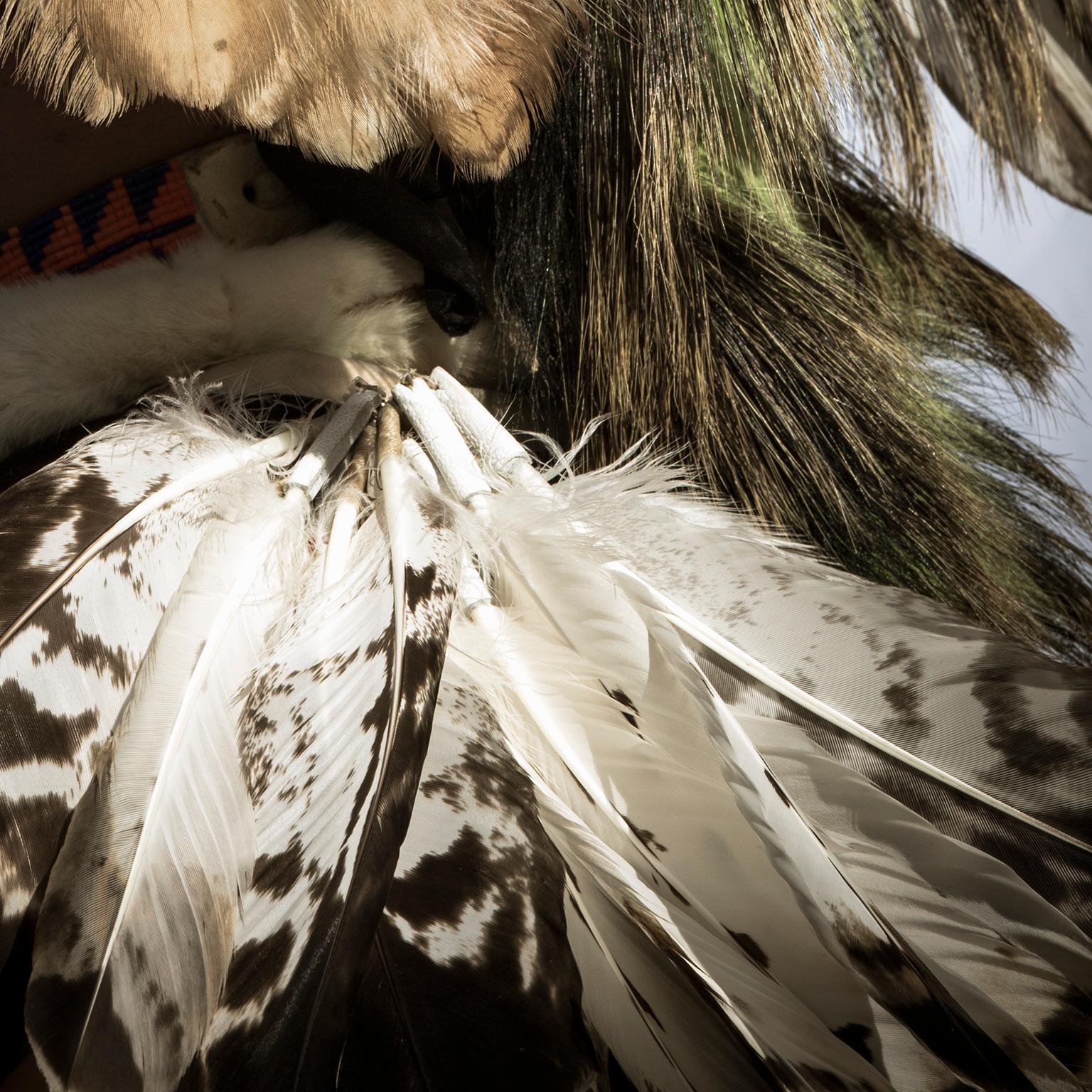 Porträt eines männlichen Tänzers der First Nations in traditionellem nordamerikanischem Kostüm – Photograph von  Cosmo Condina