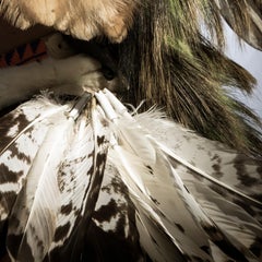 Portrait of First Nations Male Dancer in Traditional North American Costume