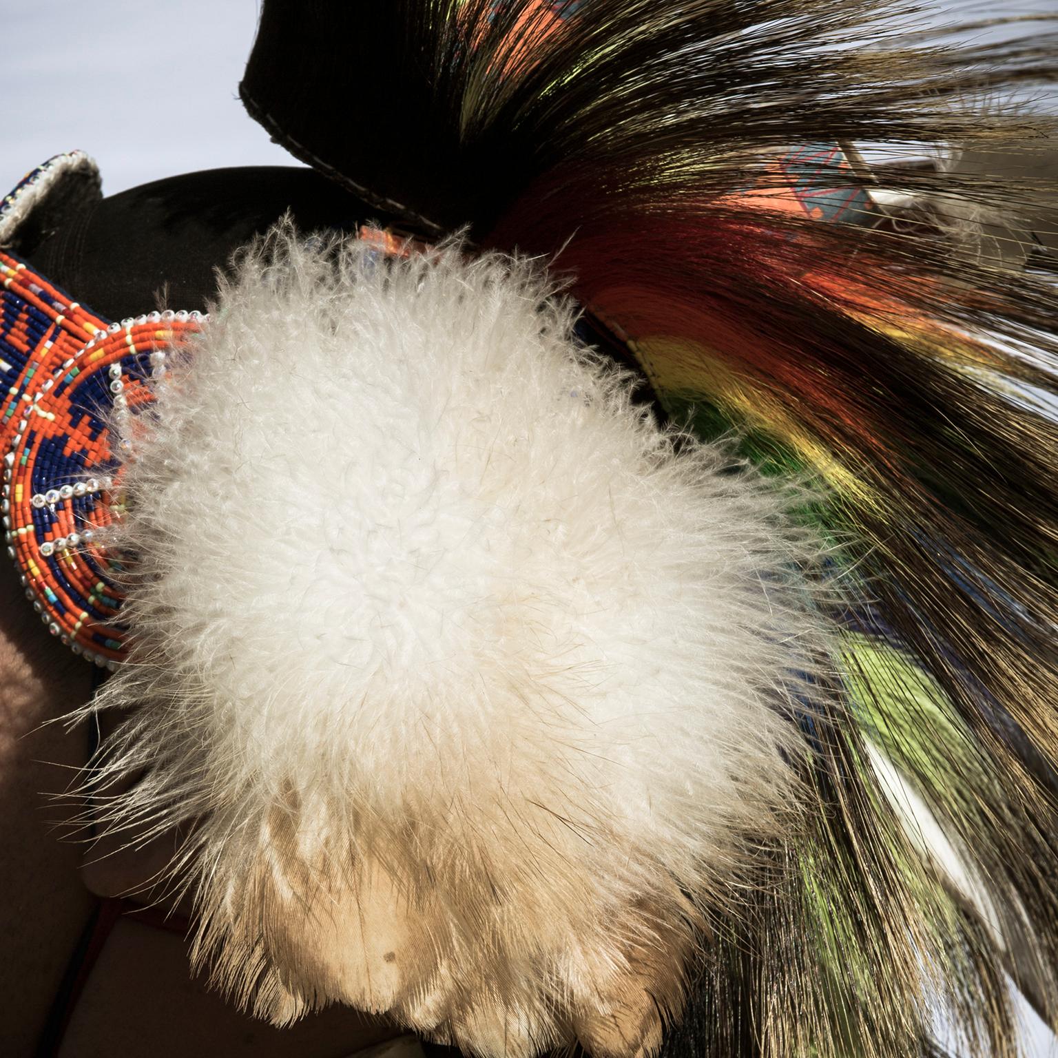 Porträt eines männlichen Tänzers der First Nations in traditioneller nordamerikanischer Tracht, 2017

Kanada, Ontario, Saint Catharines, Foto von Cosmo Condina von einem männlichen Tänzer in traditioneller nordamerikanischer Indianertracht, der bei