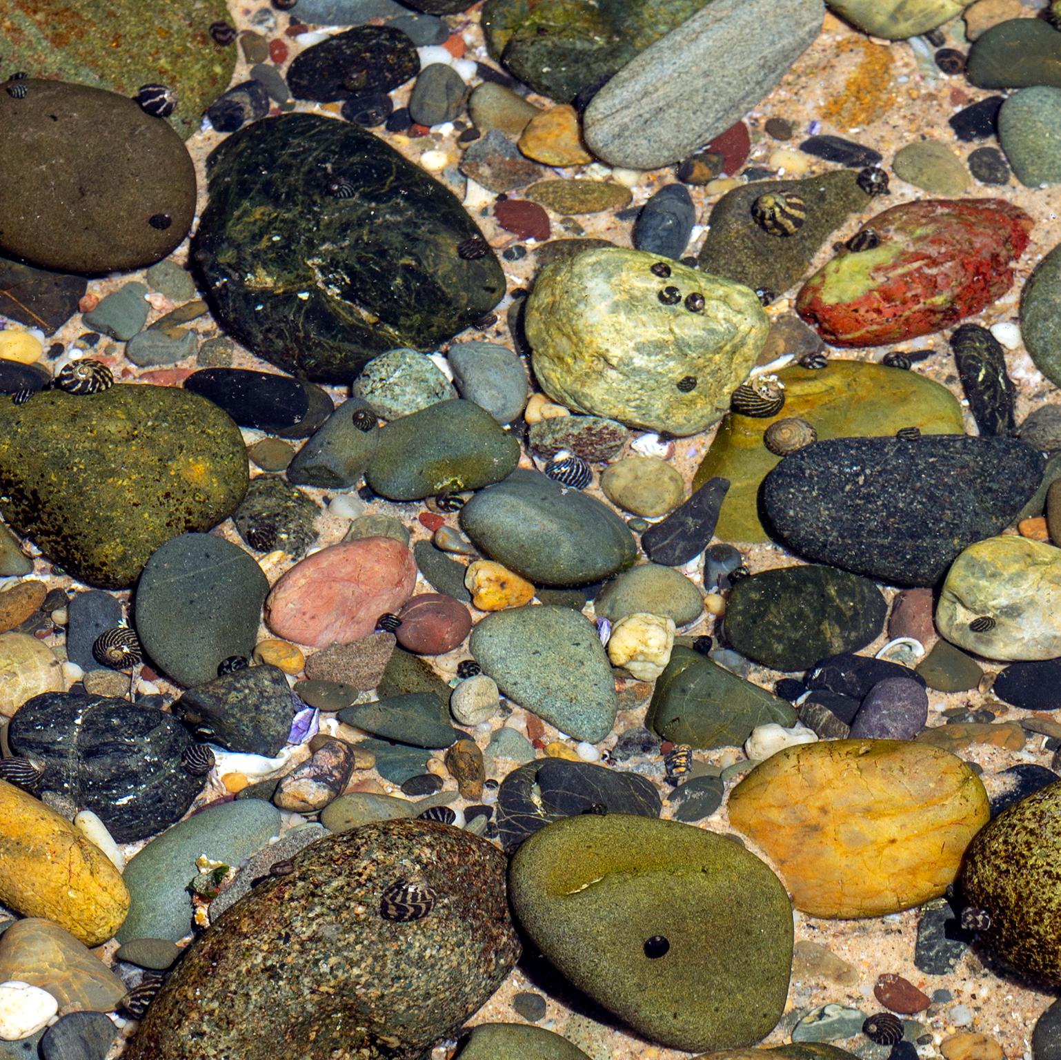 Bassin de marée de pierres multicolores. Yamba, Australie, 2019.
Photographie de Cosmo Condina de pierres colorées dans un bassin de marée. Yamba, Australie
Impression à pigment d'archives, 19