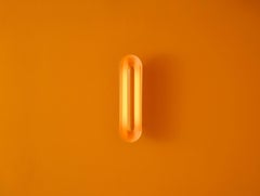 Frozen Apricot Cosmos Ceramic Wall Lamp by Jennifer Midoz