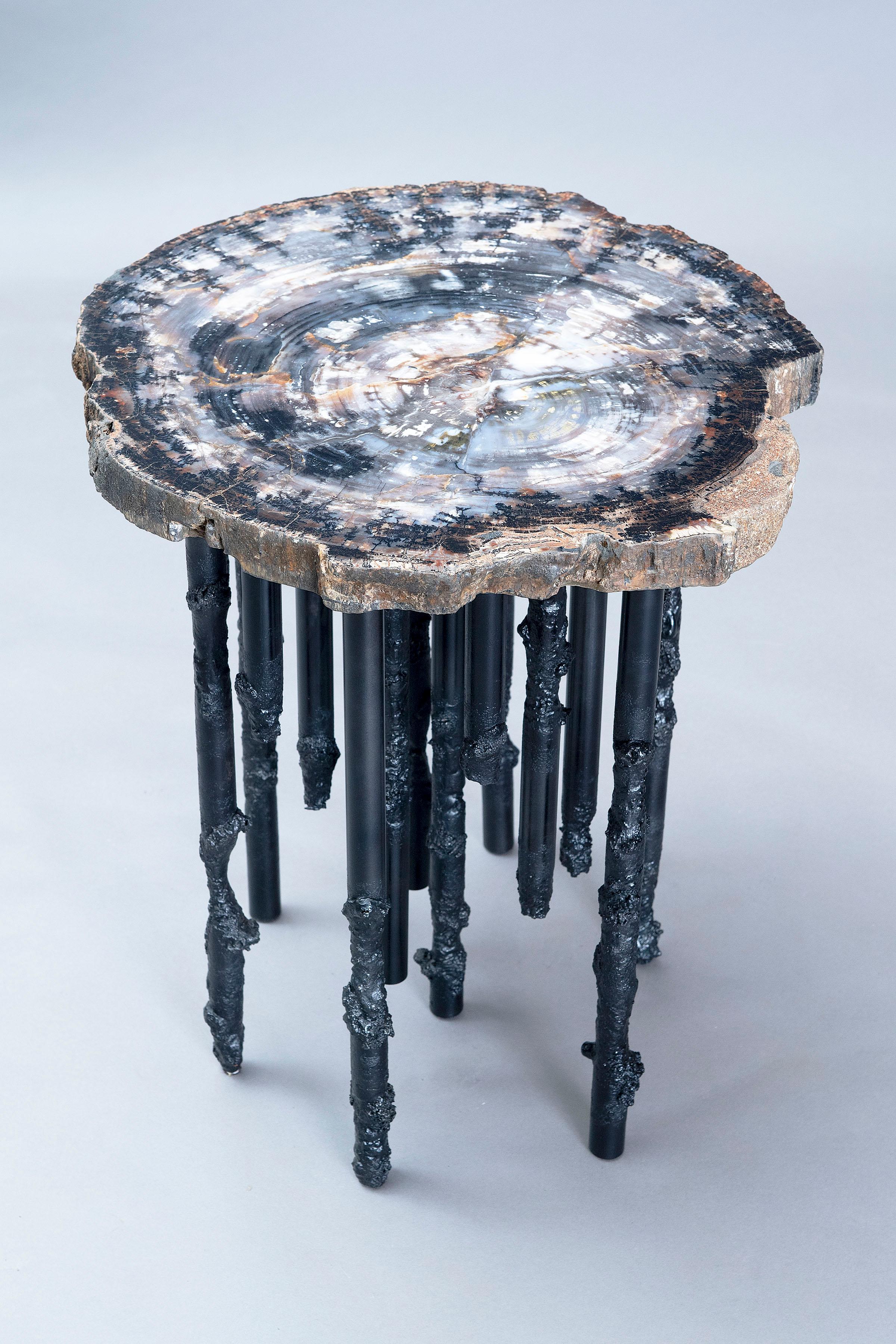 Hand Crafted One Of A Kind Artisan Petrified Wood / Steel Sculptural Side Table 2