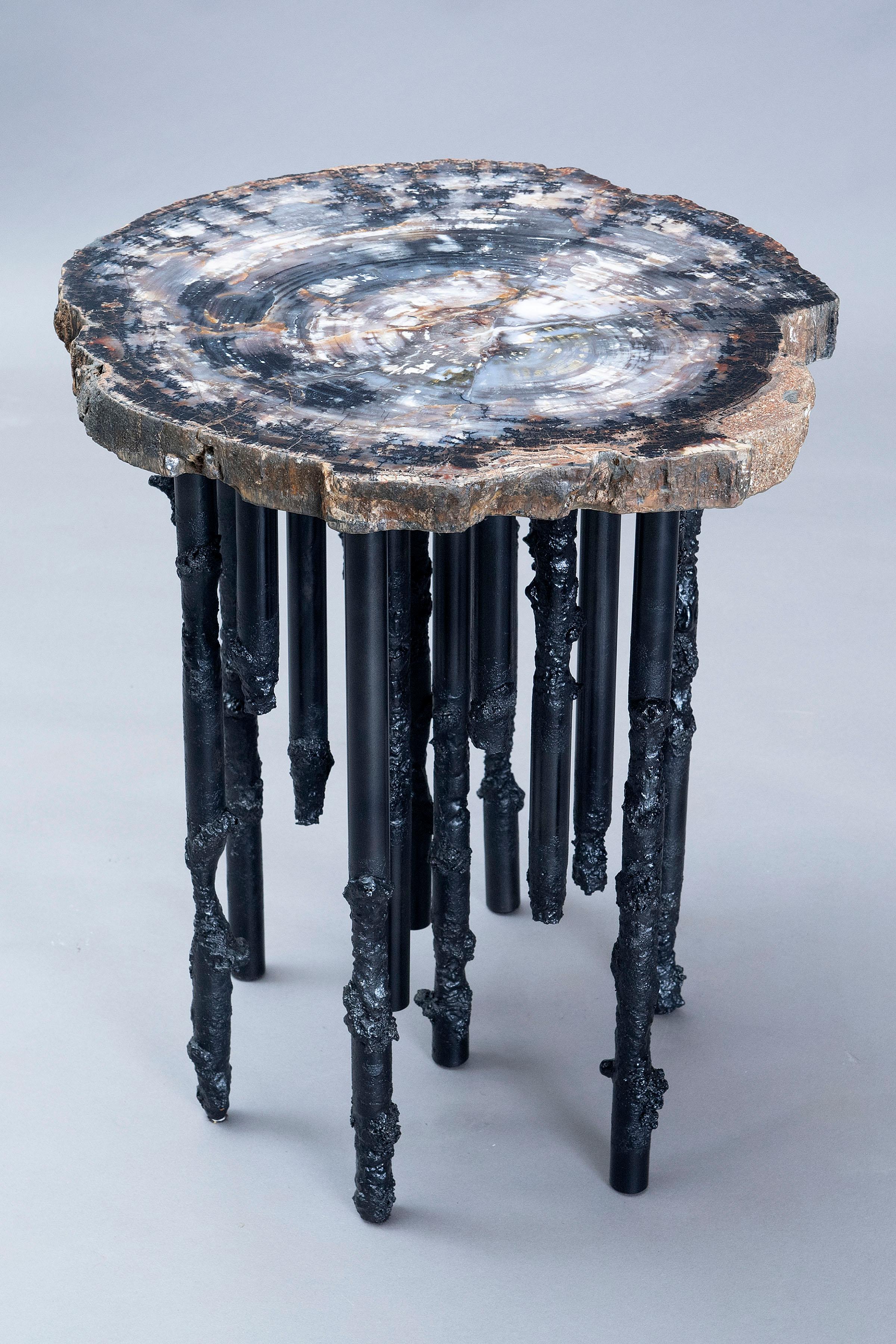 Hand Crafted One Of A Kind Artisan Petrified Wood / Steel Sculptural Side Table 3