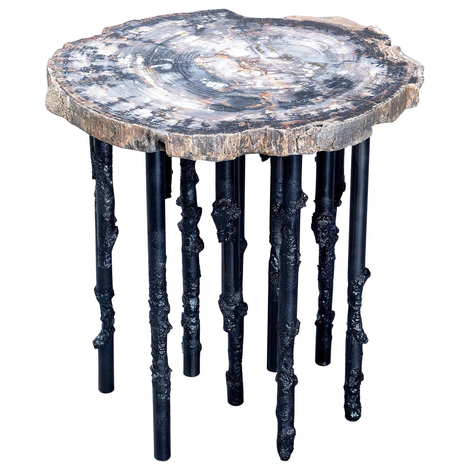 Hand Crafted One Of A Kind Artisan Petrified Wood / Steel Sculptural Side Table