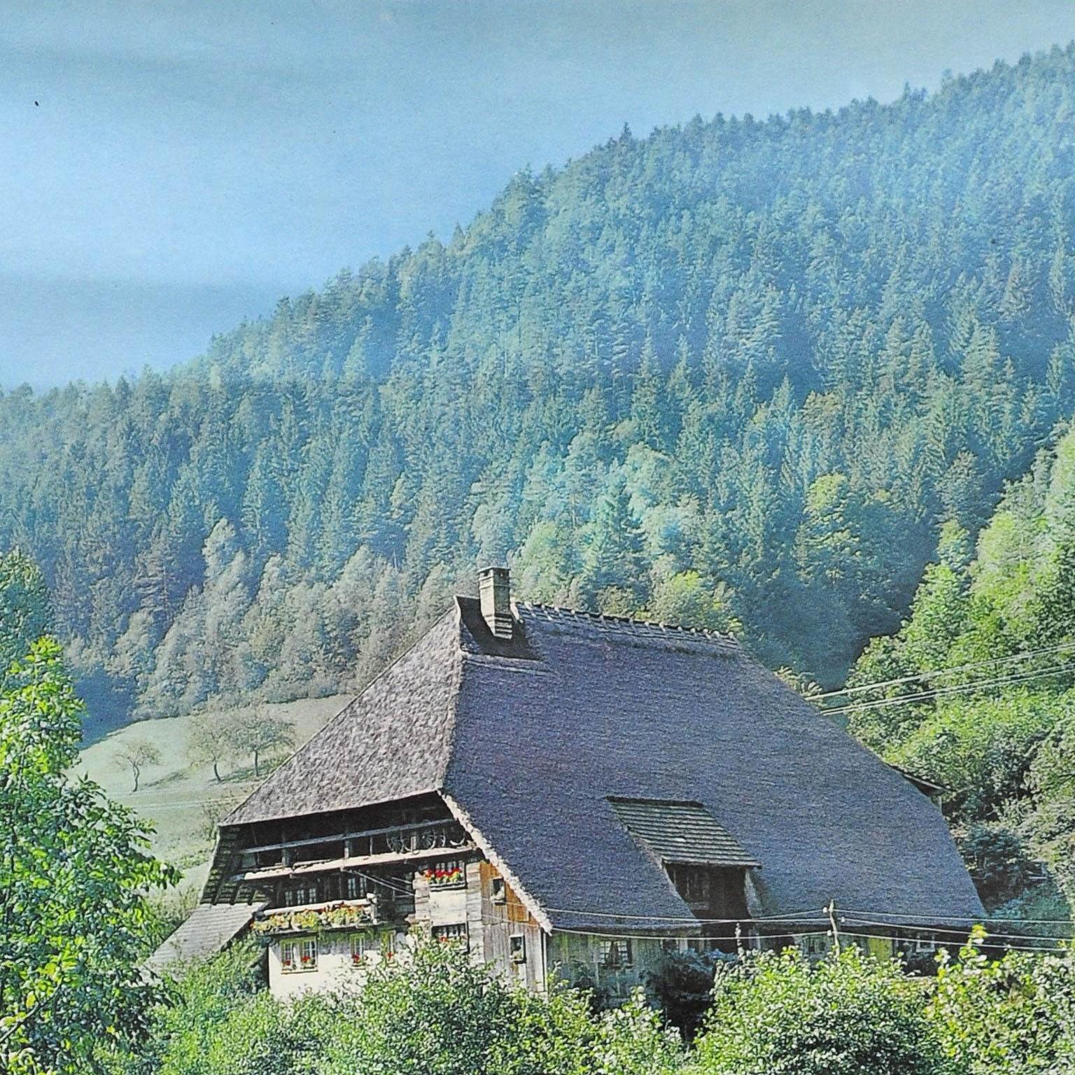 A vintage pull-down wall chart depicting a Black Forest house in the valley of Gutach near Hornberg, Germany. Photo: H. Müller-Brunke, Chiemgau. Used as teaching material in German schools. Published by Westermann, Braunschweig. Colorful print on
