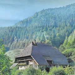 Cottagecore Black Forest House Landscape Scenery River Dam Wall Chart Poster