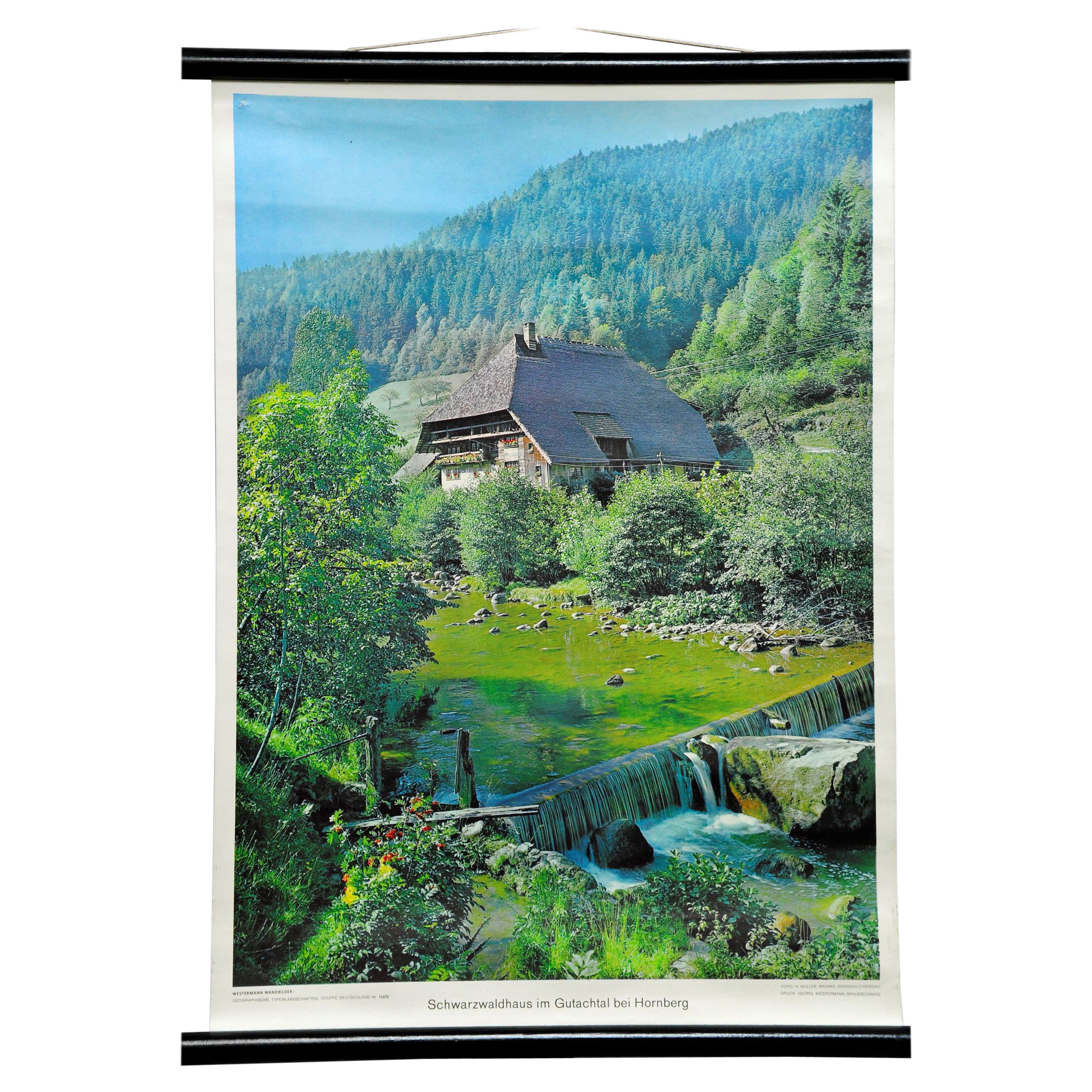 Poster da parete Black Forest Paesaggio Scenario fiume Diga in vendita