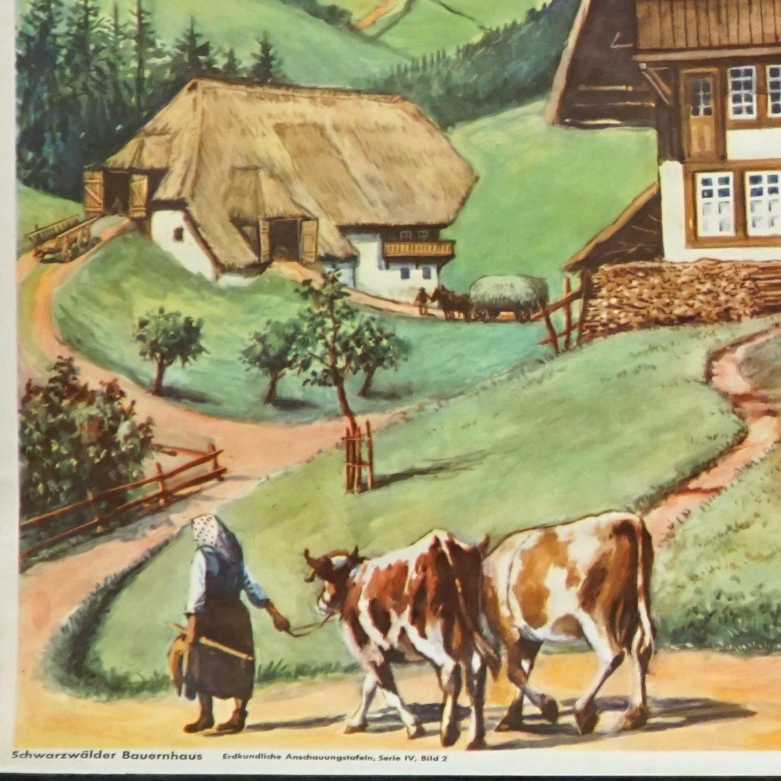 Cottagecore Mural Black Forest Farming House Vintage Rollable WallChart 

The vintage pull-down wallchart illustrates a typical Black Forest farmhouse surrounded by the beautiful mountain landscape, farm animals, farmers garden, man splitting and