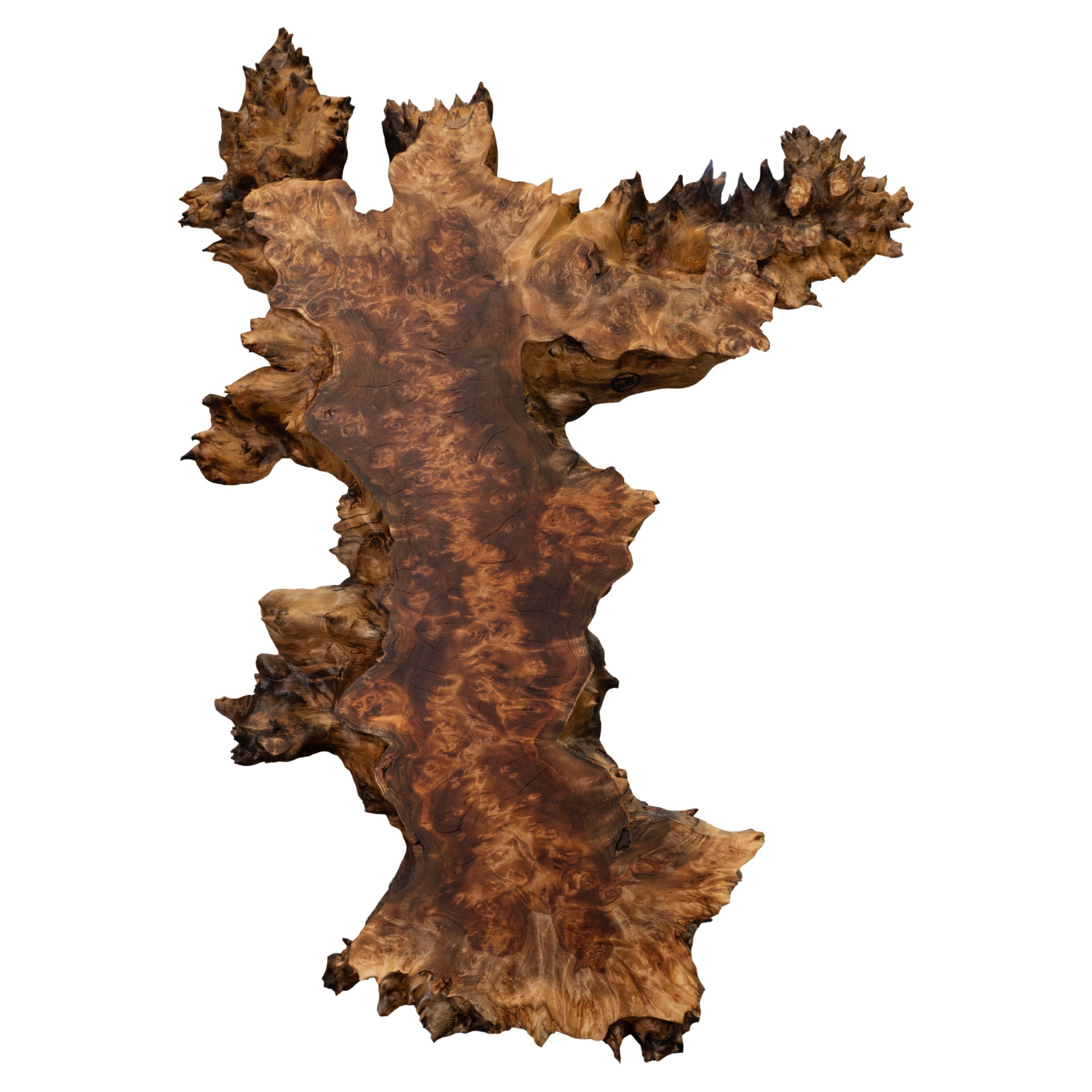 The form of this stunning & rare cottonwood burl is breathtaking. Its unusual form, and spikey edges made it clear that this piece's only future was through admiration as wall art. 

The more you look, the more you see this stunner. 

This piece can