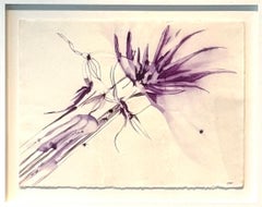 Pigment Abstract Paintings