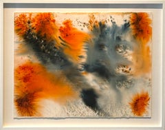 Elritze