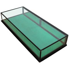Counter Top Shop Display Cabinet Glazed Ebonized 19th Century Glass