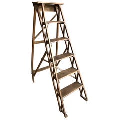 Antique Country Store Ladder, 19th Century