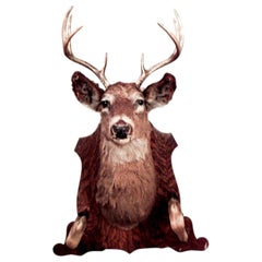 Country Taxidermy Dear Head Hatrack