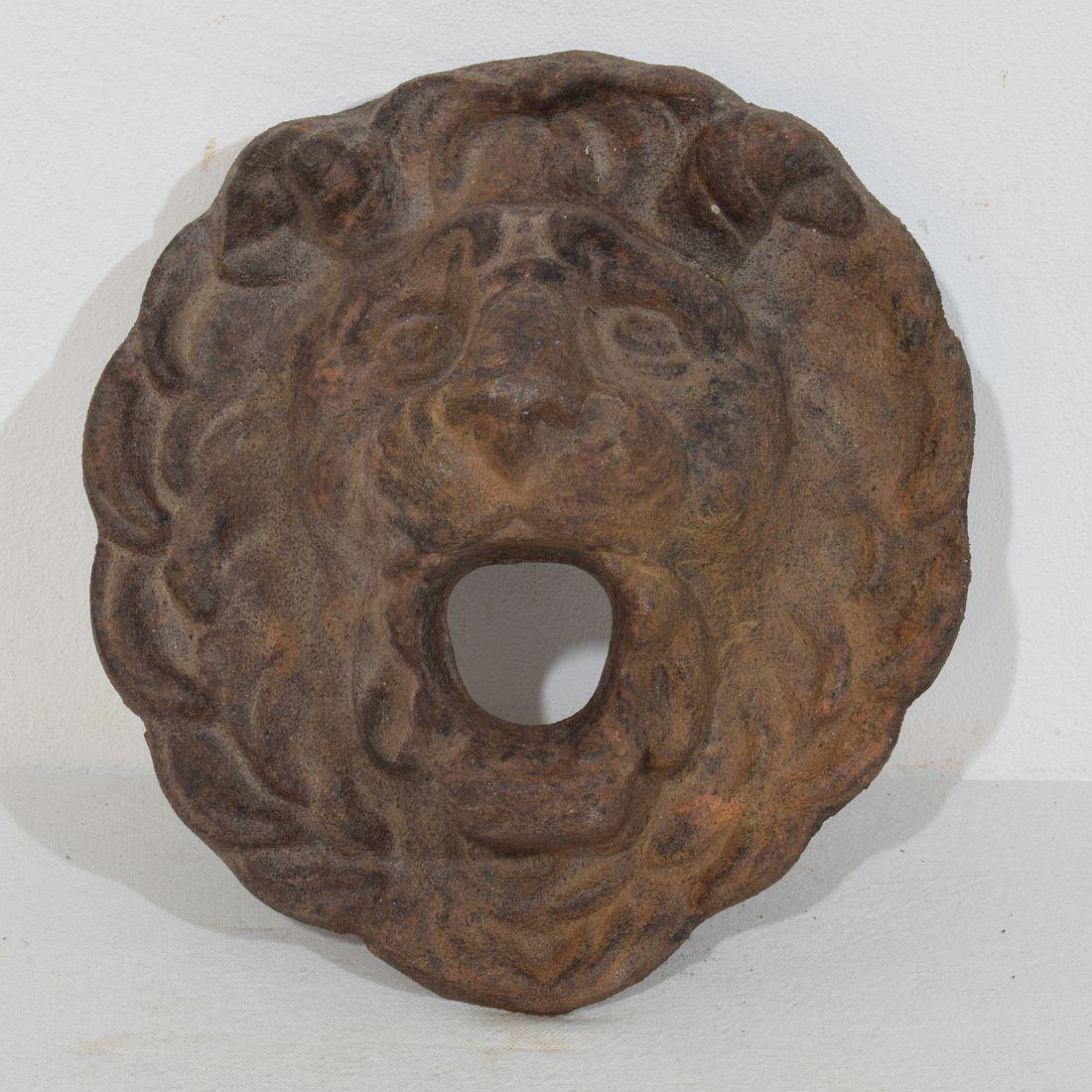 Couple French, 19th Century Cast Iron Lion Fountain Heads 6