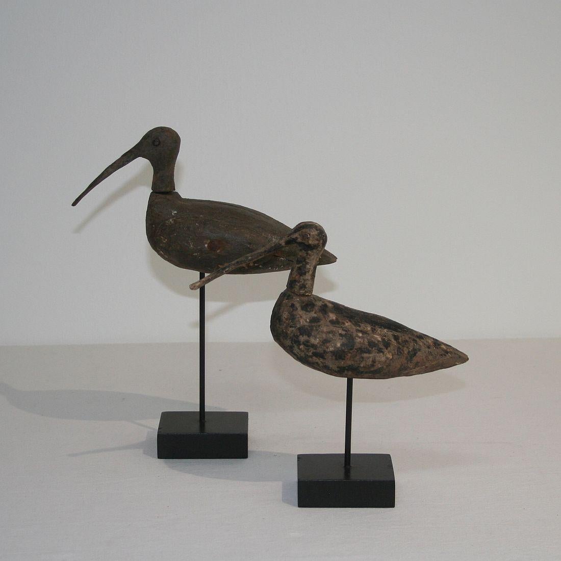 Nice couple of French snipe decoys, France 19th century. Weathered, small losses. Measurement is of the largest one and includes the base.
 