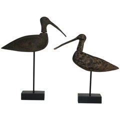 Couple of 19th Century French Snipe Decoys