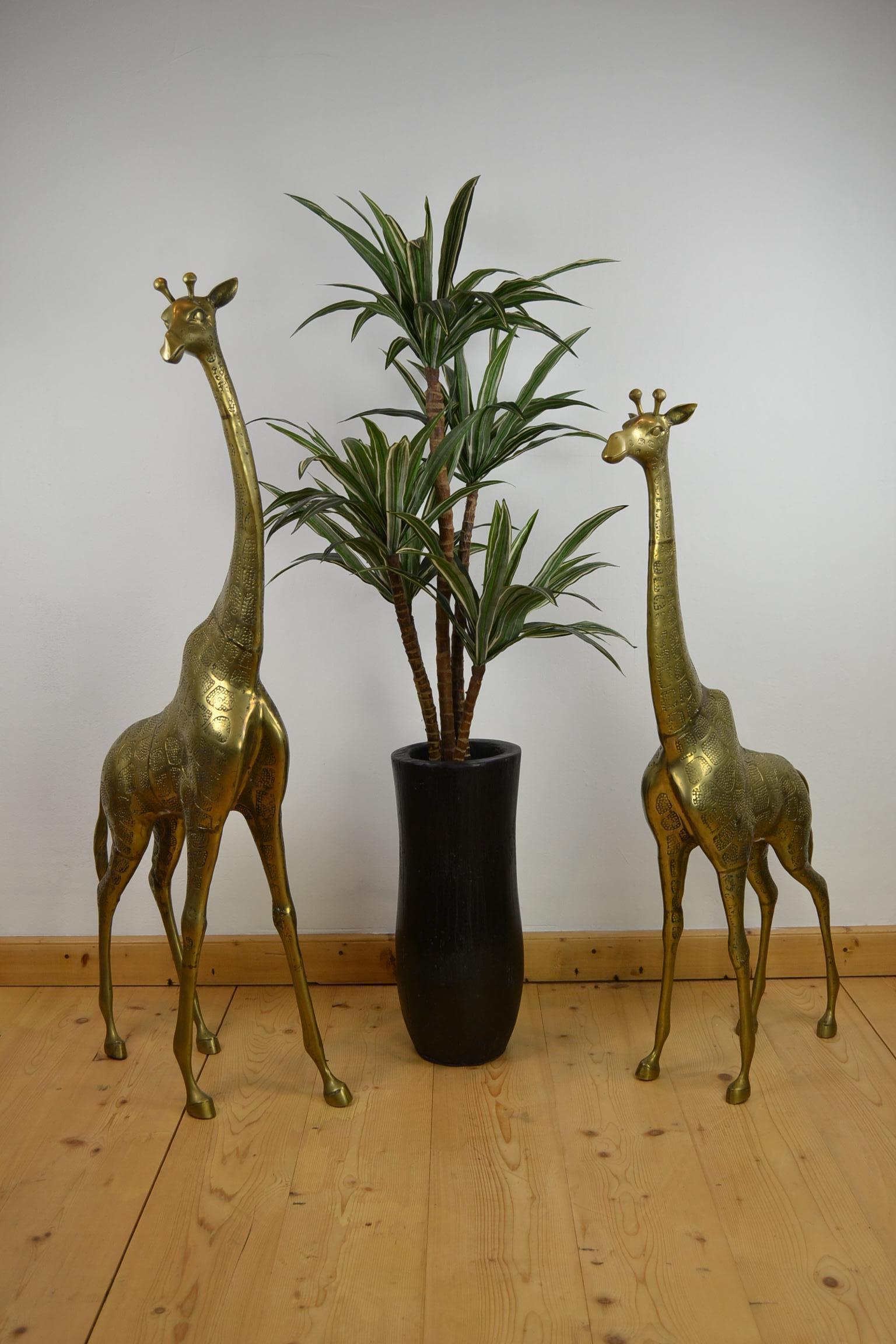 Vintage pair of large Modernist solid brass giraffe floor statues -
Giraffe floor sculptures - animal sculptures from the 1970s.
These Hollywood Regency brass animal sculptures have great details and great shape of posing. The Male with a long