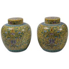 Couple of Vintage Ginger Potsm, 19th Century