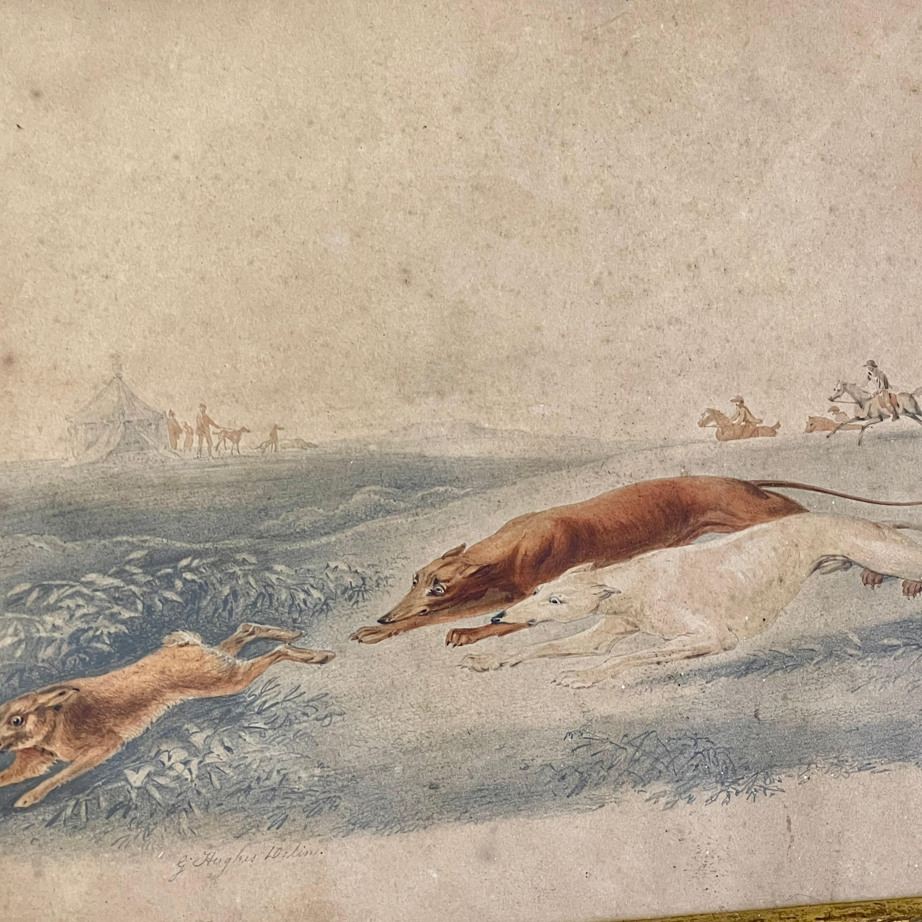 19th Century Coursing Greyhounds Lurchers C19th Signed Watercolour For Sale