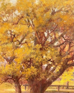 Silver Mine, Connecticut