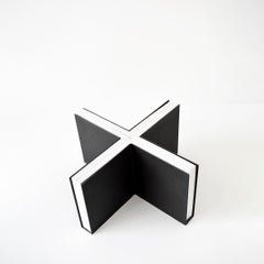 Cover #13 by Neil Nenner and Avihai Mizrahi