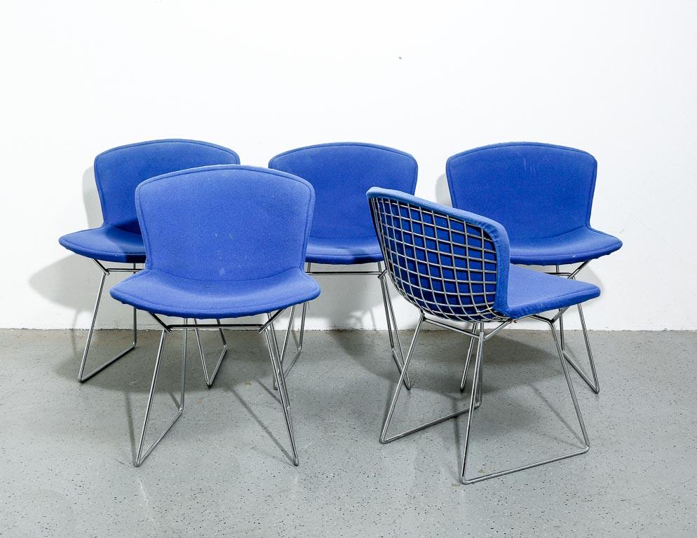 Vintage set of 5 dining chairs by Harry Bertoia for Knoll with original blue covers. Chairs are chrome plated.

Measure: 17.75