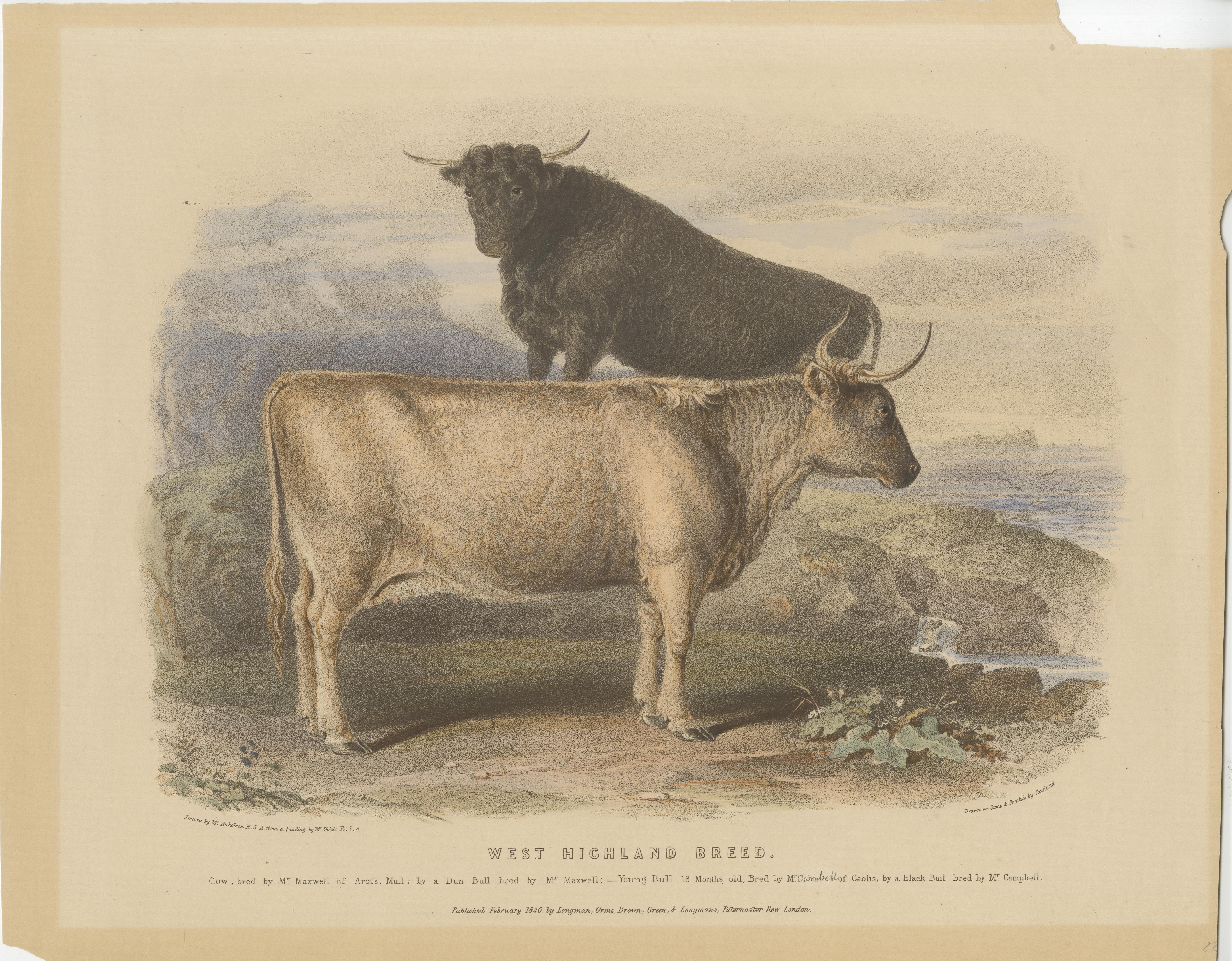 Old colored lithograph by Fairland after W. Nicholson, from 