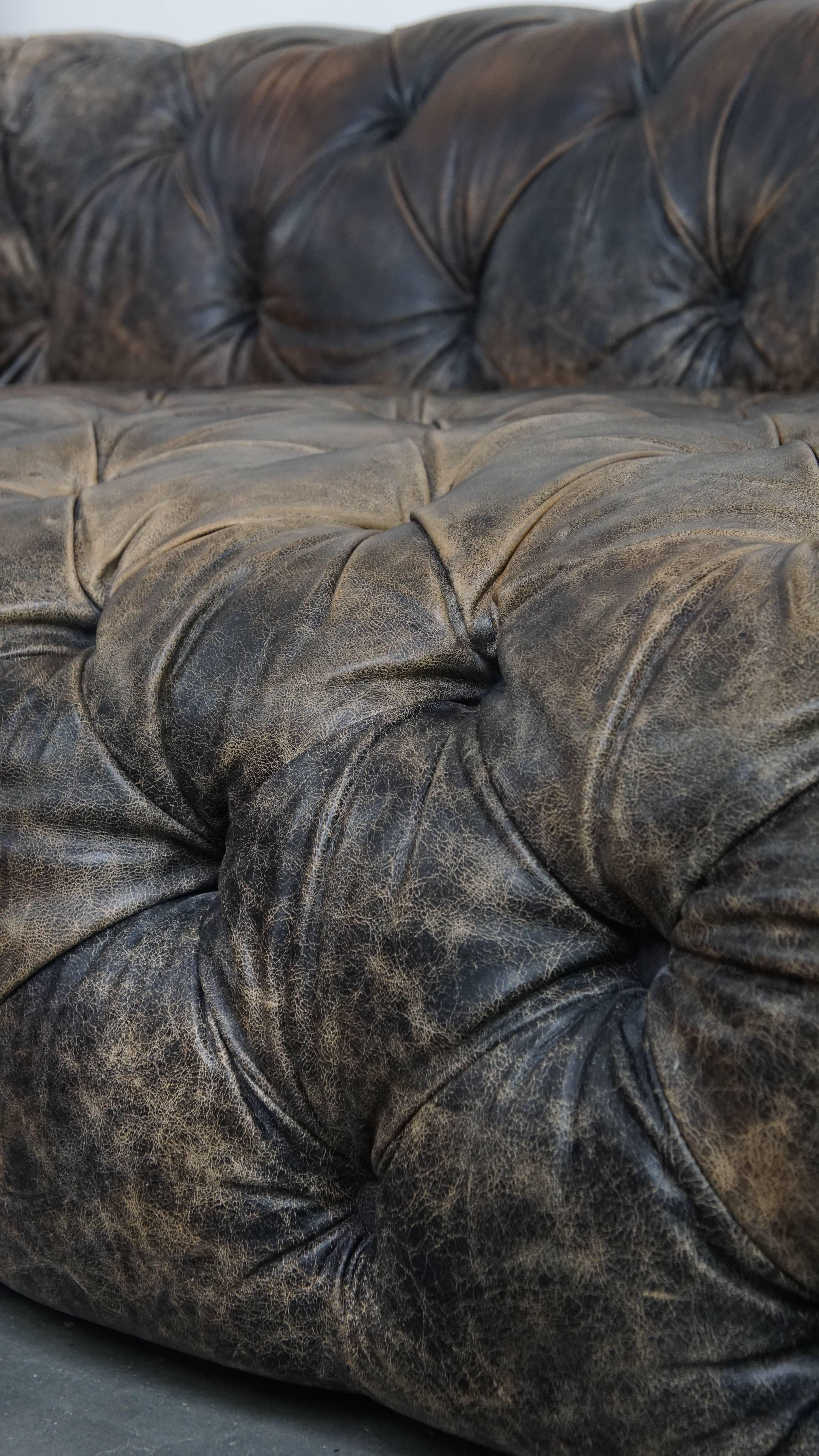 Divano Chesterfield in pelle di vacchetta in vendita 8