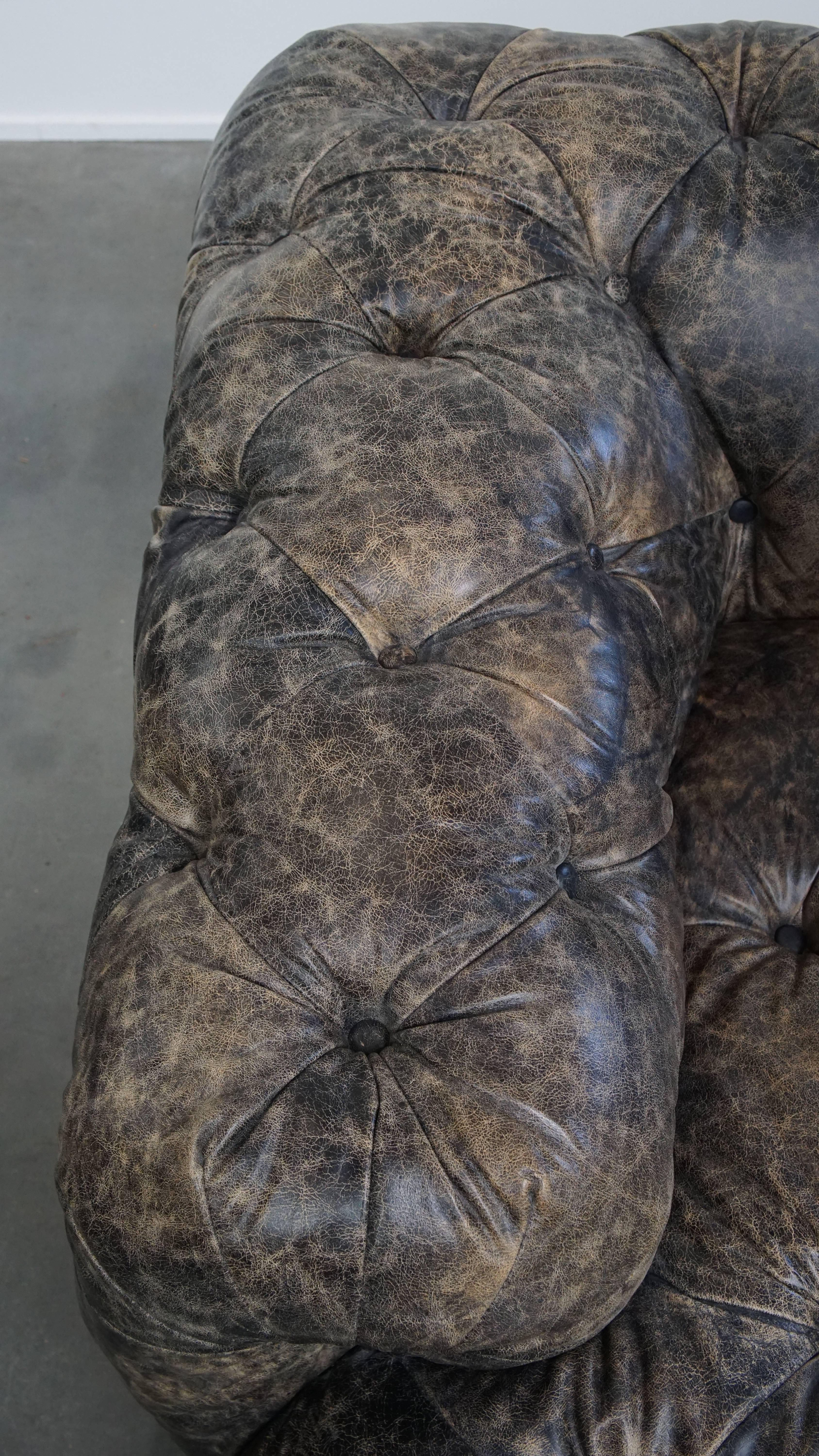 Divano Chesterfield in pelle di vacchetta in vendita 1