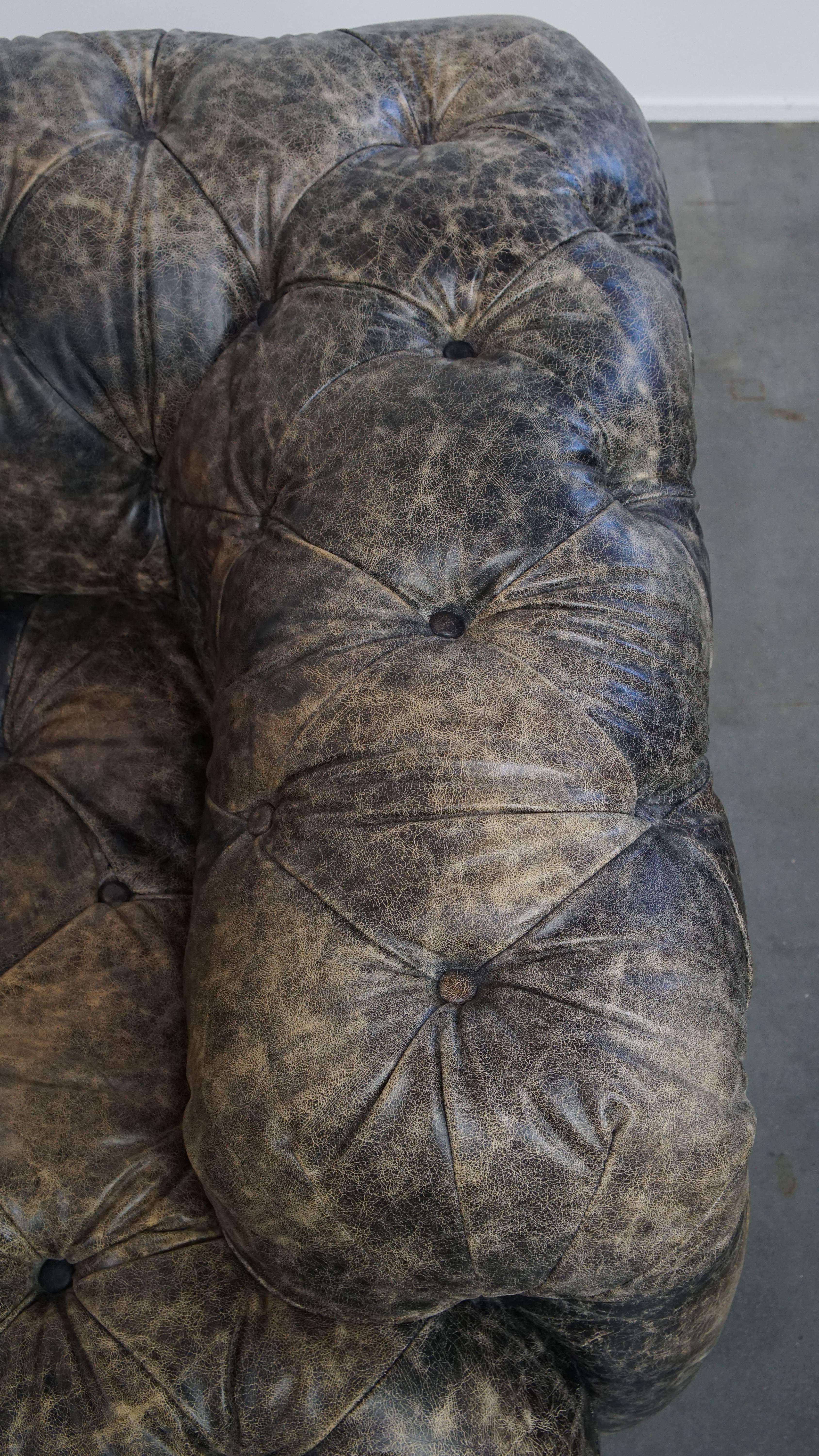 Divano Chesterfield in pelle di vacchetta in vendita 2