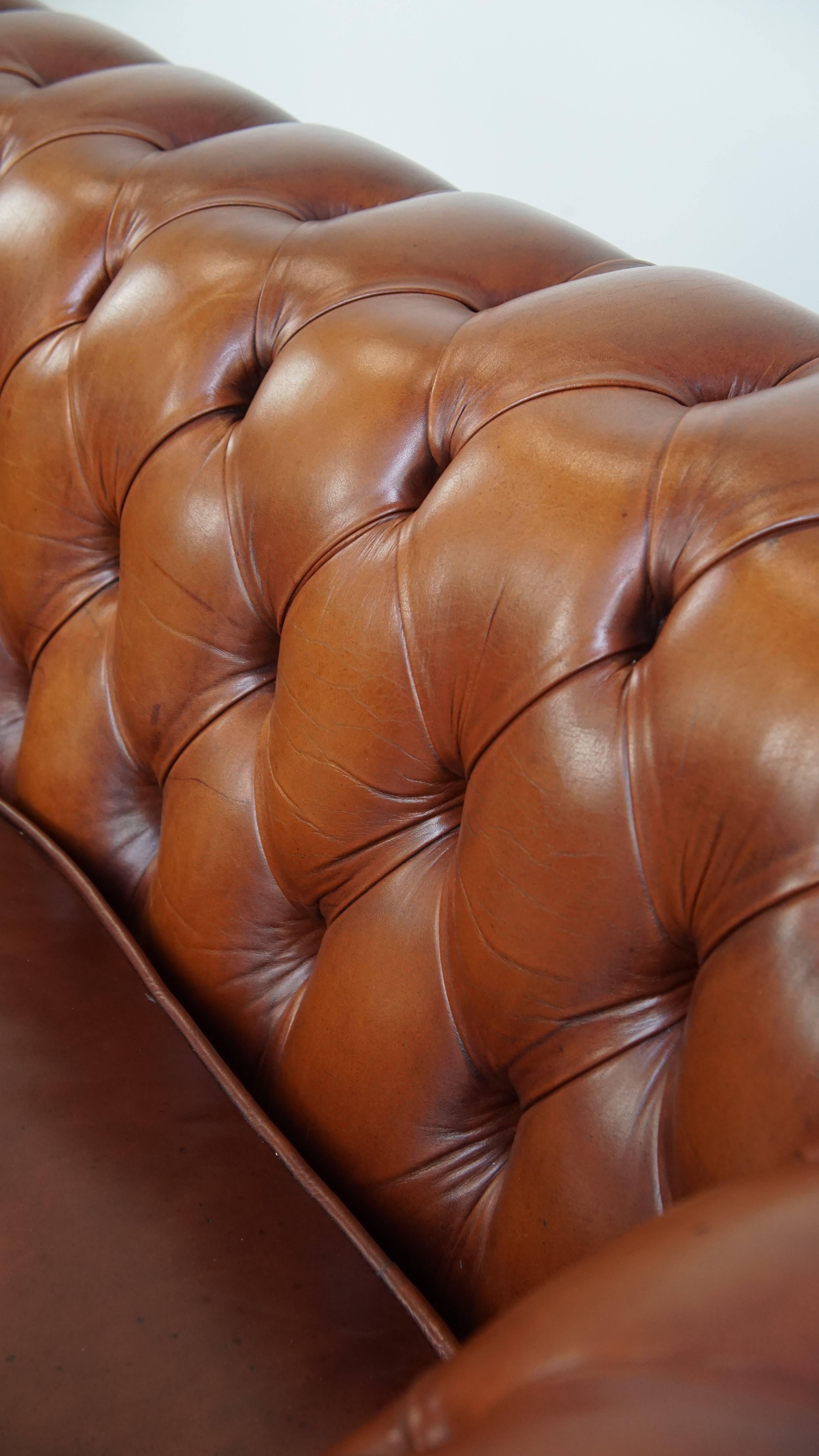 Chesterfield-Sofa aus Rindsleder im englischen Stil mit Rindsleder im Angebot 9